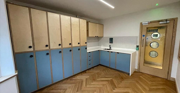 modern kitchen cabinets with light wood and blue accents showcasing sleek design and functionality ideal for storage solutions in a contemporary space